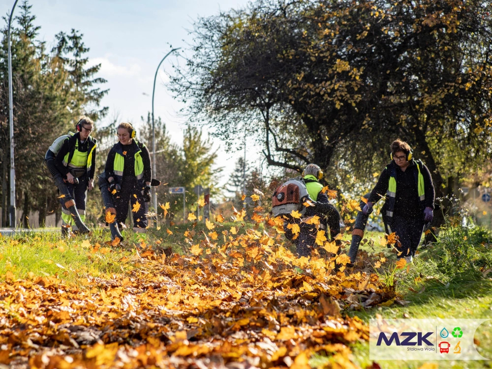 Liście spadają, praca wre. Jesienne porządki w Stalowej Woli i okolicach