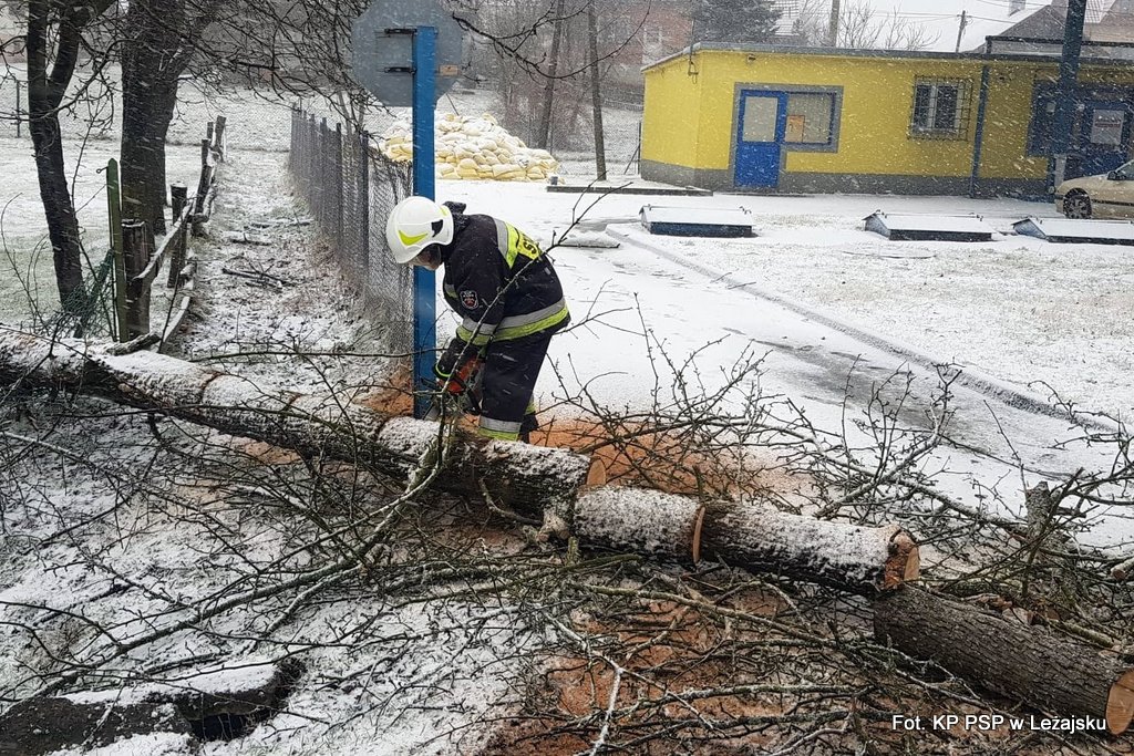 Silny wiatr narobił szkód w regionie Sztafeta.pl