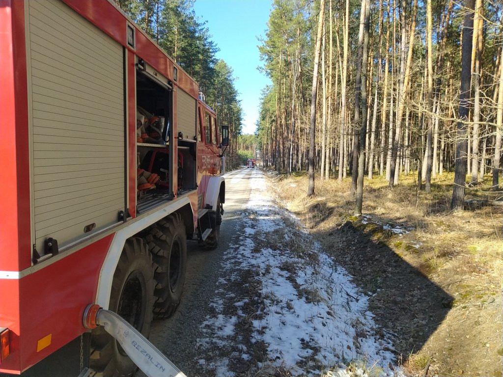 Ćwiczyli umiejętności gaszenia pożaru lasu Sztafeta.pl