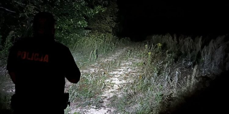 81-letni mężczyzna odnaleziony w lesie Sztafeta.pl